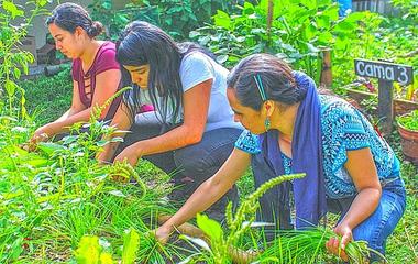 A Talloires Network university civic engagement initiative in Mexico enables students and community members to work together on food security projects. Photo: Supplied